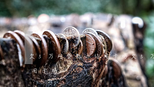 欠5万网贷能办信用卡吗(欠5万网贷能办信用卡吗)
