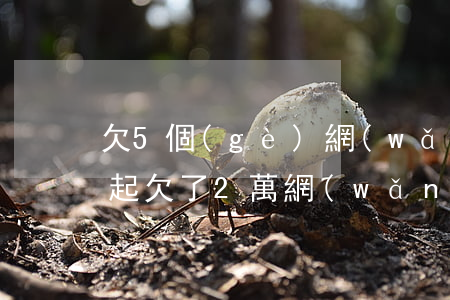 欠5個(gè)網(wǎng)貸2萬還不起(欠了2萬網(wǎng)貸)