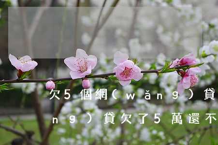 欠5個網(wǎng)貸還不上了(網(wǎng)貸欠了5萬還不起怎么辦)