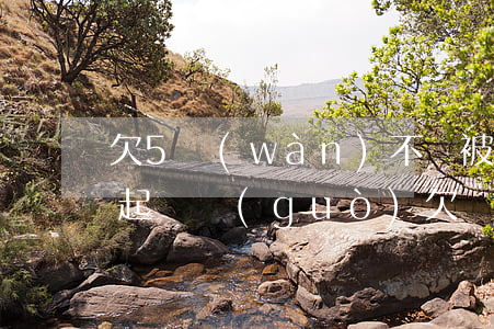 欠5萬(wàn)不還被來(lái)分期起訴過(guò)(欠來(lái)分期6000塊被起訴)
