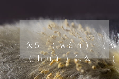 欠5萬(wàn)網(wǎng)貸不還會(huì)怎么樣(網(wǎng)貸5千不還會(huì)怎么樣)
