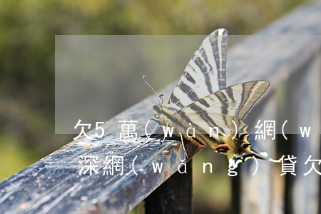 欠5萬(wàn)網(wǎng)貸越陷越深(網(wǎng)貸欠5萬(wàn)自救方法)