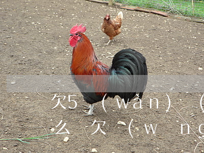 欠5萬(wàn)網(wǎng)貸還款怎么辦(欠網(wǎng)貸四五萬(wàn)還不起怎么辦)