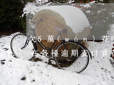 欠5萬(wàn)花唄借唄現(xiàn)在各種逾期(支付寶花唄借唄逾期十幾萬(wàn))