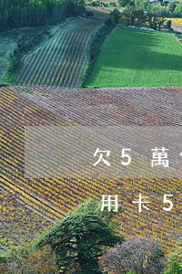 欠5萬信用卡先還1000行不行-欠了信用卡5萬如何還款