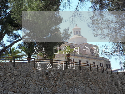 欠5萬信用卡判刑視頻(欠款信用卡5萬以上怎么判刑)
