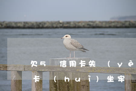 欠5萬信用卡失業(yè)咋辦(欠5萬信用卡會(huì)坐牢嗎)