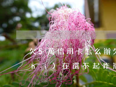 欠5萬信用卡怎么辦 欠信用卡五萬多實(shí)在還不起咋辦