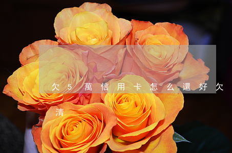 欠5萬信用卡怎么還好(欠信用卡5萬怎么還清)