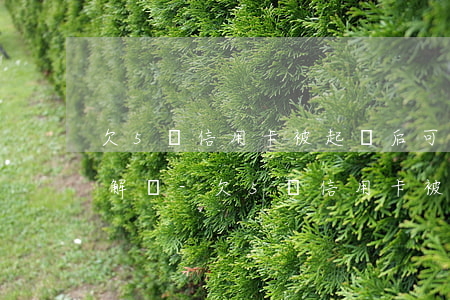 欠5萬信用卡被起訴后可以調(diào)解嗎-欠5萬信用卡被起訴后可以調(diào)解嗎知乎