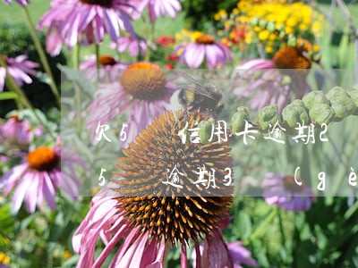 欠5萬信用卡逾期2個(gè)月 欠信用卡5萬逾期3個(gè)月