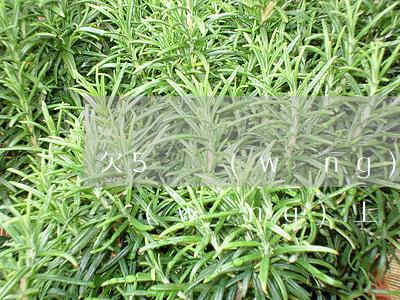 欠5萬網(wǎng)上貸款能貸嗎(欠5萬網(wǎng)上貸款能貸嗎)