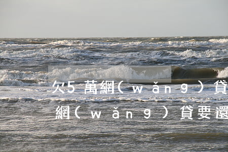 欠5萬網(wǎng)貸一次性還清-5萬網(wǎng)貸要還多久