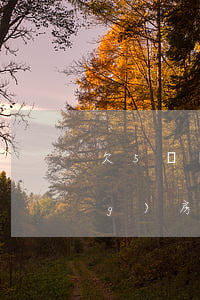 欠5萬網(wǎng)貸可以申請(qǐng)房貸嗎(有5萬的網(wǎng)貸,還可以辦房貸嗎)