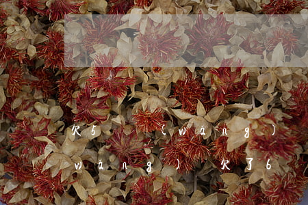 欠5萬網(wǎng)貸工資5000(網(wǎng)貸欠了6萬每個(gè)月工資5000)