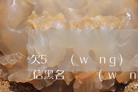 欠5萬網(wǎng)貸會(huì)上征信黑名單嗎(網(wǎng)貸的黑名單會(huì)上征信的黑名單嗎?)