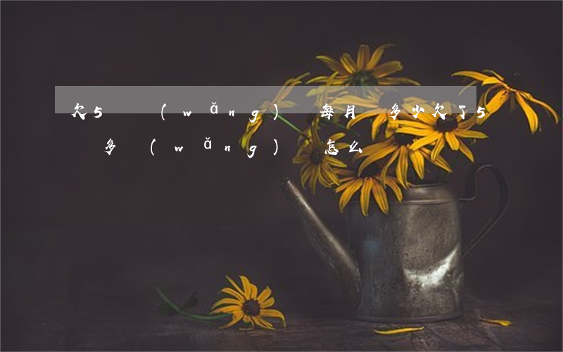 欠5萬網(wǎng)貸每月還多少(欠了5萬多網(wǎng)貸怎么辦)