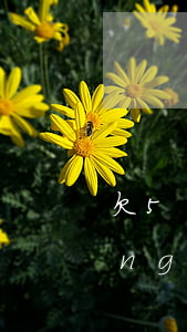 欠5萬網(wǎng)貸無力償還(網(wǎng)貸欠款5萬)