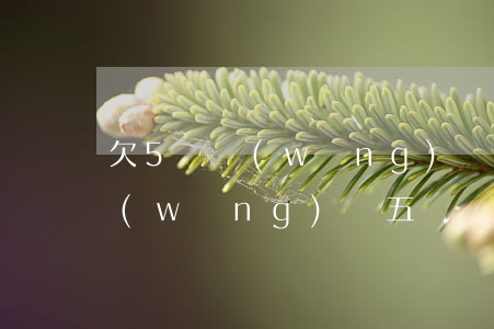 欠5萬網(wǎng)貸還不起坐牢嗎(欠網(wǎng)貸五萬無力還款會(huì)坐牢嗎)