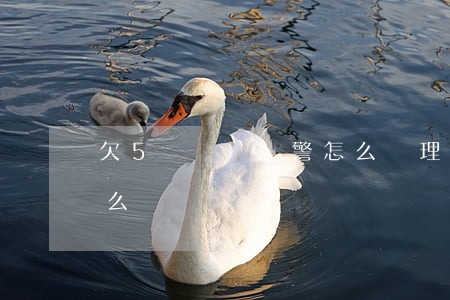 欠5萬網貸報警怎么處理(我欠了五萬網貸怎么辦)