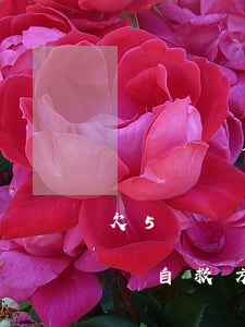 欠5萬網貸還有救么家里人不幫忙(網貸欠5萬自救方法)