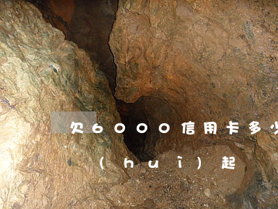 欠6000信用卡多少利息(欠信用卡六千多會(huì)起訴嗎)