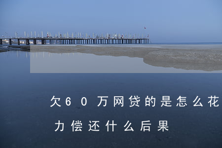 欠60万网贷的是怎么花的(欠60万网贷无力偿还什么后果)