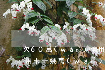 欠60萬(wàn)信用卡小貸怎么辦(欠信用卡十幾萬(wàn)怎么辦)