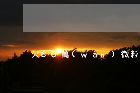 欠60萬(wàn)微粒貸(微粒貸60期)