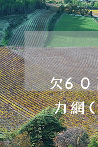 欠60萬(wàn)網(wǎng)貸的壓力(網(wǎng)貸欠下60萬(wàn)怎么辦)