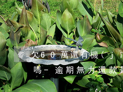 欠60萬還有機(jī)會(huì)上岸嗎-逾期無力還款最佳處理方法