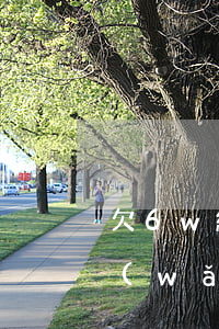 欠6w網(wǎng)貸還不上怎么辦(欠網(wǎng)貸6萬(wàn),怎么還沒有)