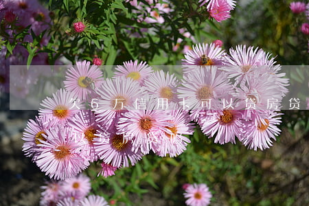 欠6万信用卡可以贷房贷吗(欠6万信用卡可以贷房贷吗)