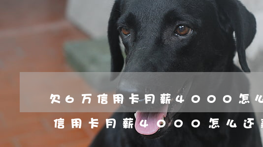 欠6万信用卡月薪4000怎么还-欠6万信用卡月薪4000怎么还款