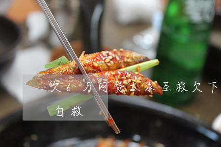 欠6万网贷立求互救(欠下网贷二十多万怎么自救)