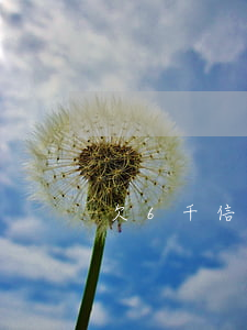 欠6千信用卡五年沒還要還多少-