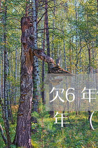 欠6年信用卡年費(fèi)6(欠信用卡6年沒(méi)還會(huì)怎么樣)