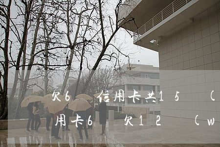 欠6張信用卡共15萬(wàn)還不上（信用卡6張欠12萬(wàn)）