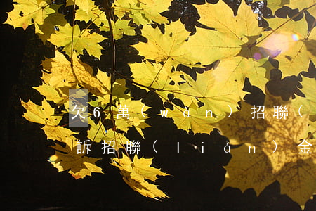 欠6萬(wàn)招聯(lián)金融起訴(招聯(lián)金融2000多起訴)