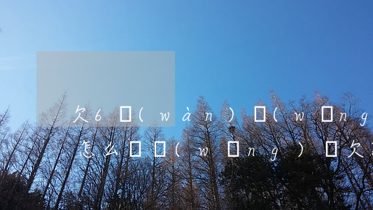 欠6萬(wàn)網(wǎng)貸還不起怎么辦(網(wǎng)貸欠款6萬(wàn)怎么辦啊)