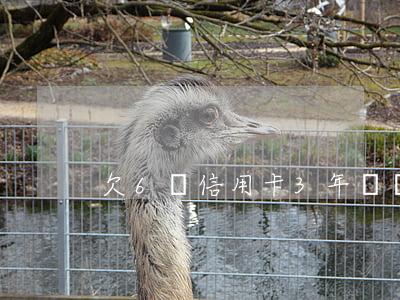 欠6萬信用卡3年沒還