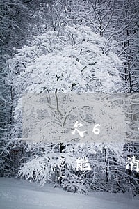 欠6萬信用卡多久能還清(欠6萬信用卡多久能還清啊)