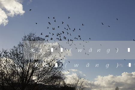 欠6萬網(wǎng)貸會(huì)上門催收(網(wǎng)貸逾期會(huì)上門催收嗎)