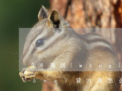 欠6萬網(wǎng)貸該怎么辦(欠網(wǎng)貸六萬怎么辦)