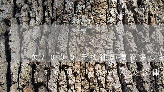 欠7000元找律師要花多少錢(qián)(70萬(wàn)欠款律師費(fèi)多少錢(qián))