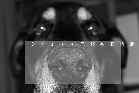 欠7000元錢被起訴后果