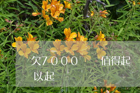 欠7000塊錢值得起訴么(欠7000元可以起訴嗎)