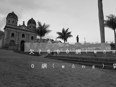 欠7000網(wǎng)貸不還(欠7000網(wǎng)貸不還)