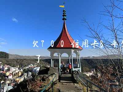 欠700信用卡8年(欠信用卡7000三年了)
