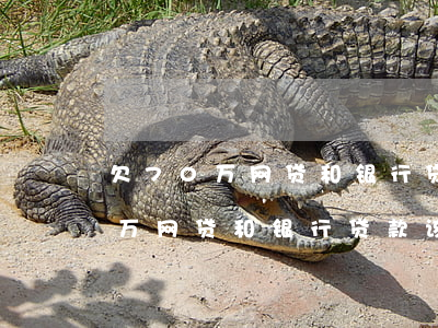 欠70万网贷和银行贷款该怎么办-欠70万网贷和银行贷款该怎么办呢